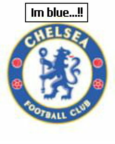the bluez