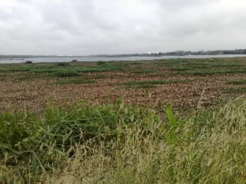 Irshads.vartur lakh.near HAL,