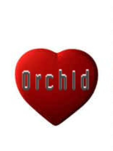 Orchid