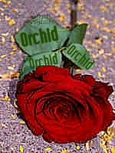 Orchid