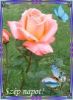 Hilda's avatar