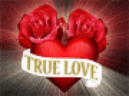 http://nad1.xtgem.com/