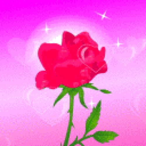 Rosd 4 u