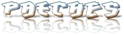 Patches logo