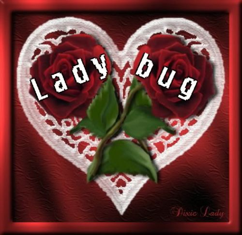 Ladybug