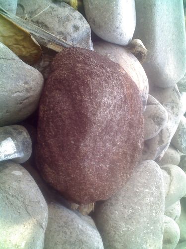 stonnes