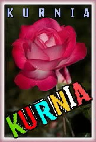 Kurnia..