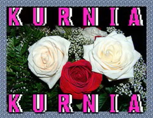 Kurnia