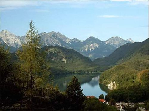 Nature1