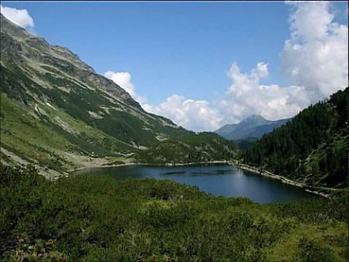Nature2