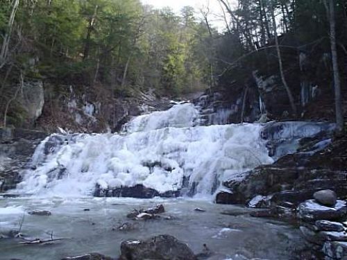Nature5