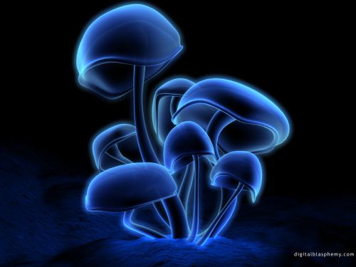 BluE ShroOms