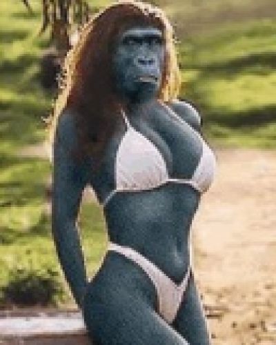 bikini nyuk nyuk