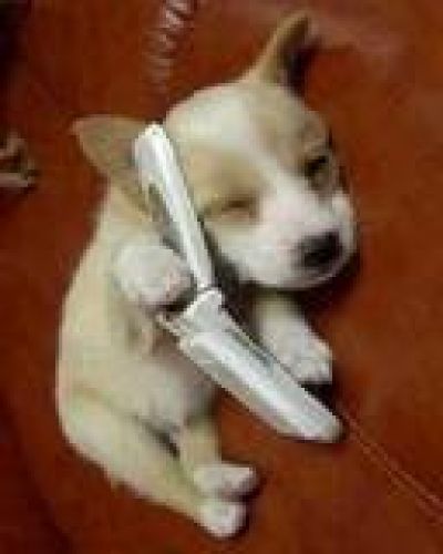 Download free videos http://mobvid.peperonity.com