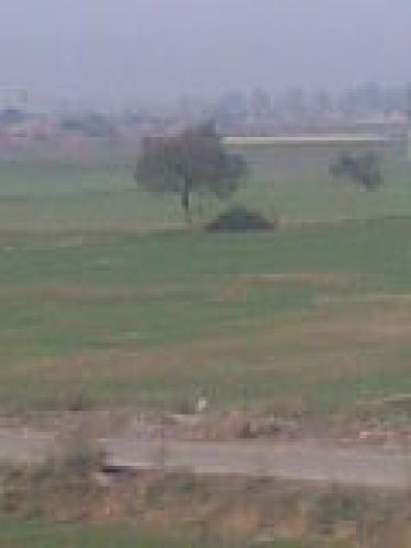 My farm.