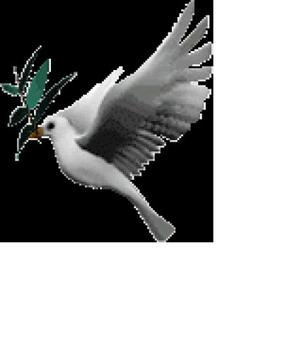 Manuhe manuhor babe nebhabe kiyo?