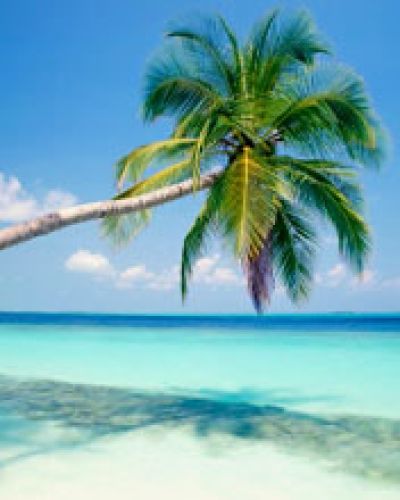 BEACH... SIDE... -lol3-