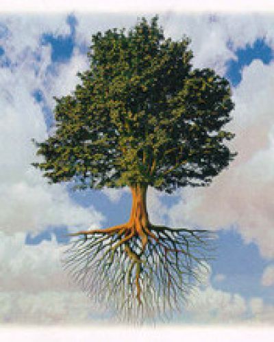 tree...