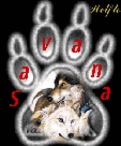 Savana
