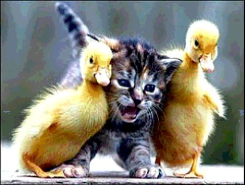 Funny