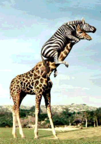 Funny