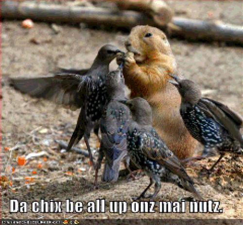 Funny
