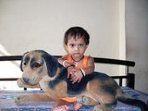 Bhoomi