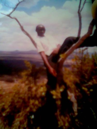 Cuthbat's day at TSAVO park. Kenya