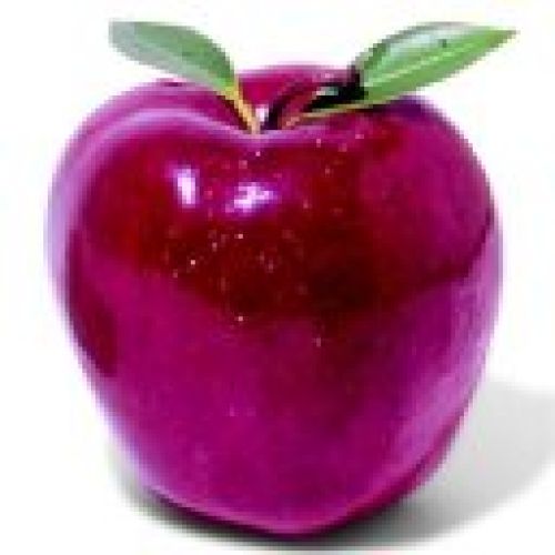 apple of luv