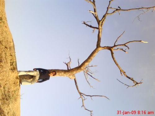 Chandan