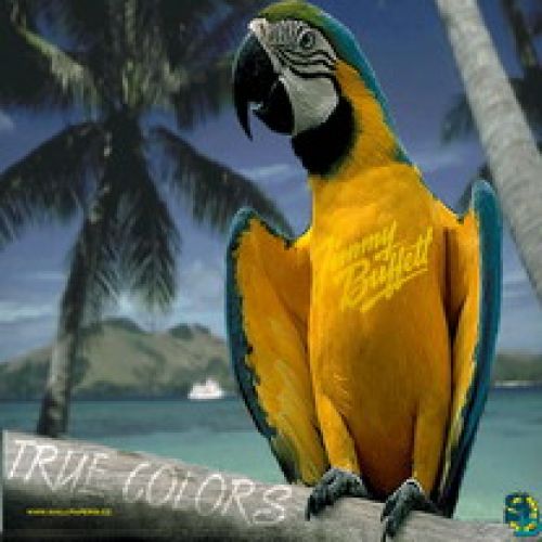 Parrot