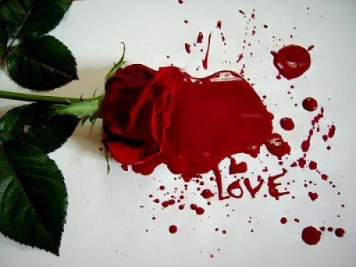 blood n rose