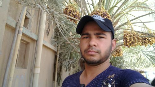 dammam alhasa