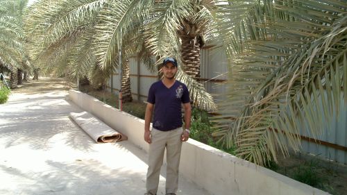 dammam alhasa