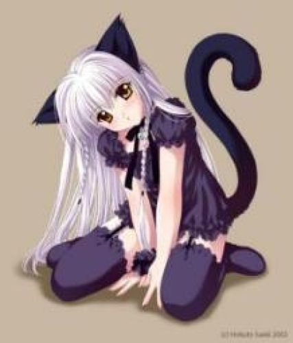 Meeow