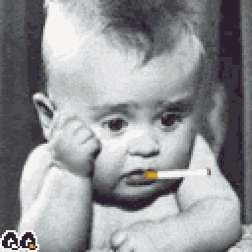 bebe2