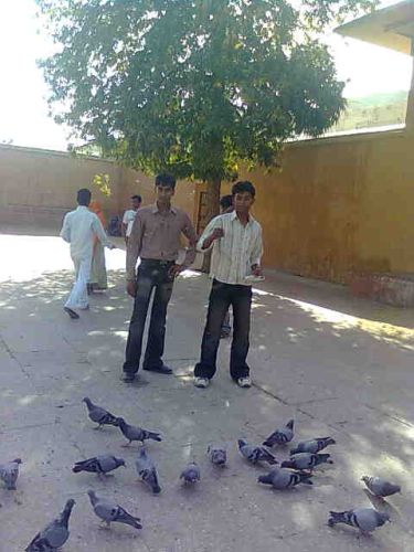 Sanjeev raj