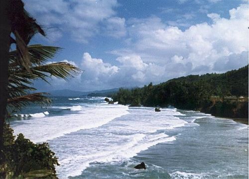My country