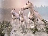 wild_fantasy's avatar