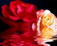 miss-pretty's avatar