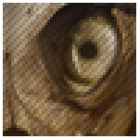 amit19951995's avatar