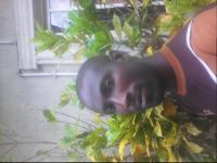 oyaoluwawale's avatar